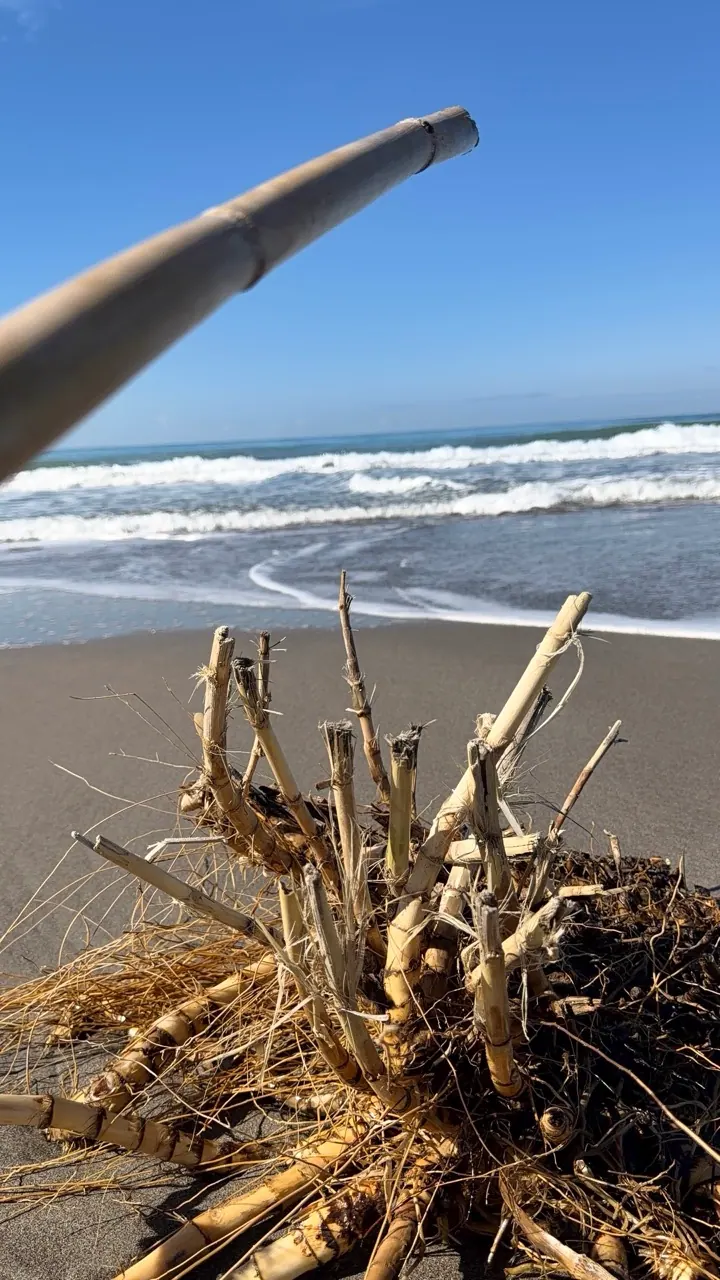 Patara Plajı – Patara Antik Kenti — gezi fotoğrafı 6