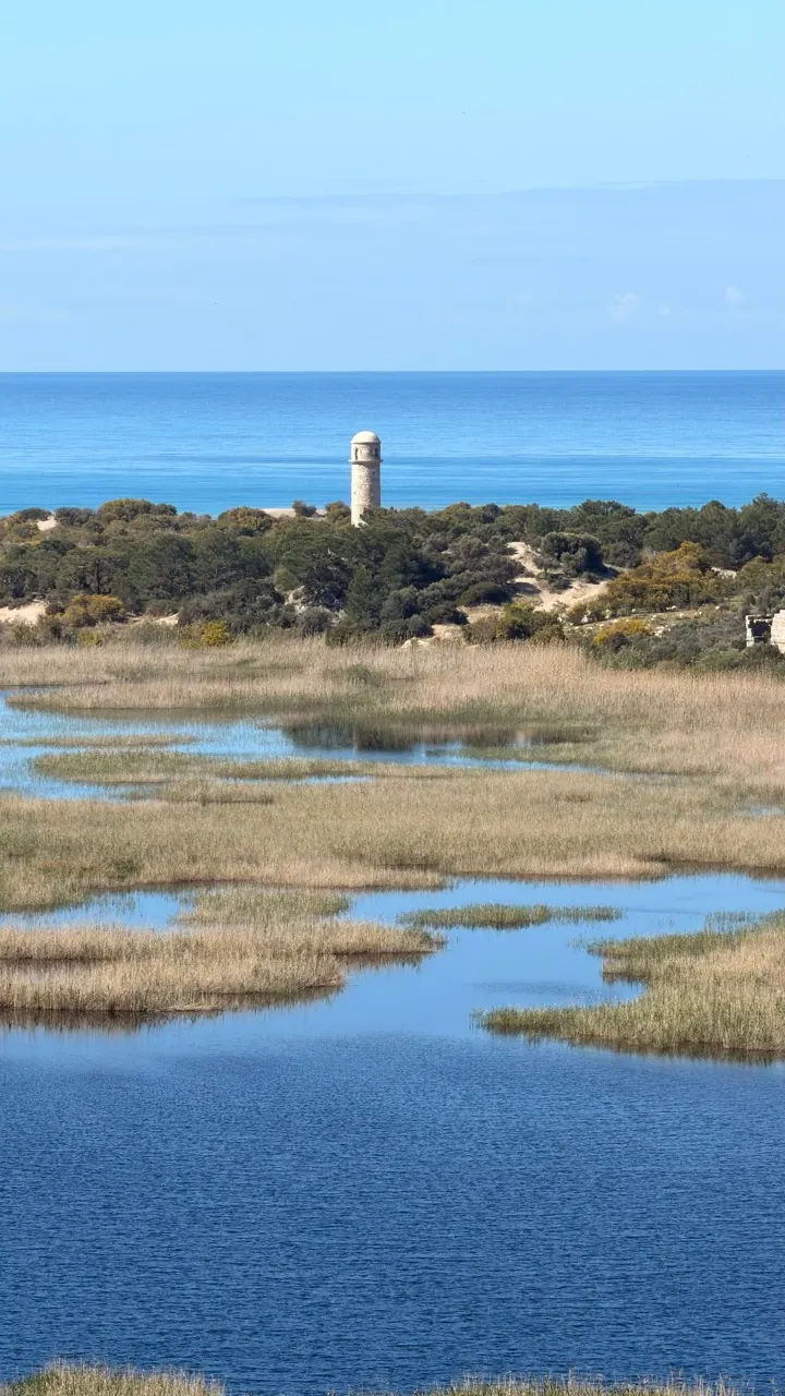 Patara Plajı – Patara Antik Kenti — gezi fotoğrafı 7