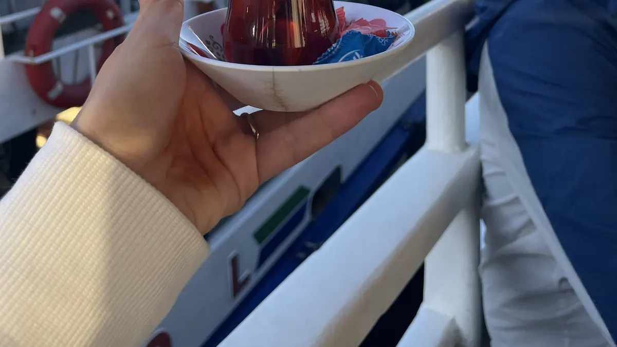 İstanbul vapurunda Boğaz manzarasına karşı bir bardak çay