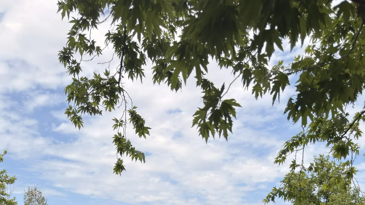 Manavgat Şelalesi çevresinde bahar manzarası